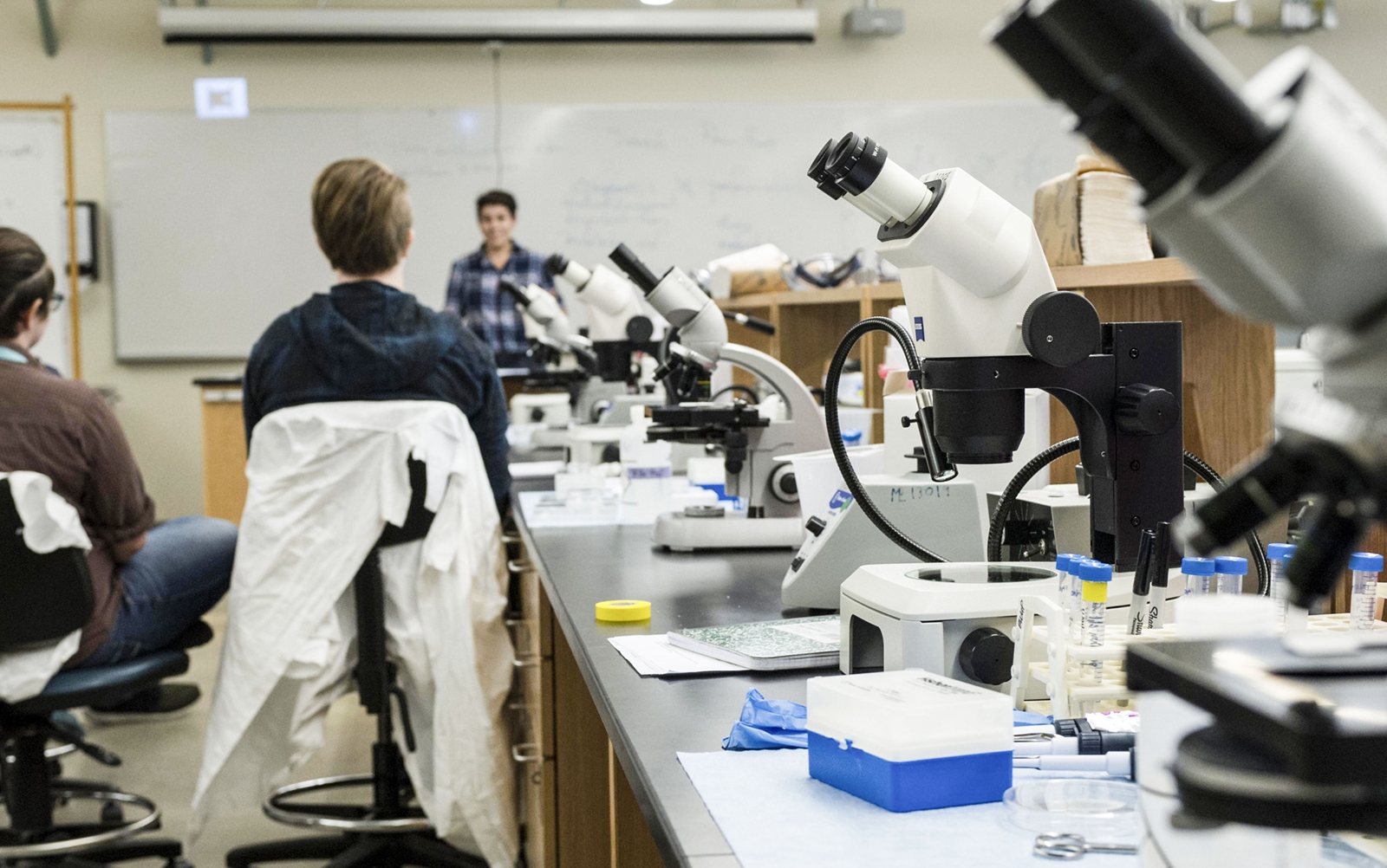 Educational Opportunities | Marine Biological Laboratory